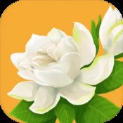 约战nep(约战手游约会攻略美九)